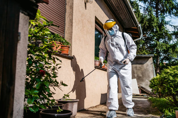 Best Best Pest Control Companies  in Limesa, CA