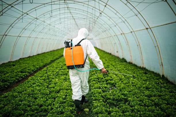 Best Residential Pest Control  in Limesa, CA