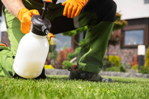 Best Pest Inspection Near Me  in Limesa, CA