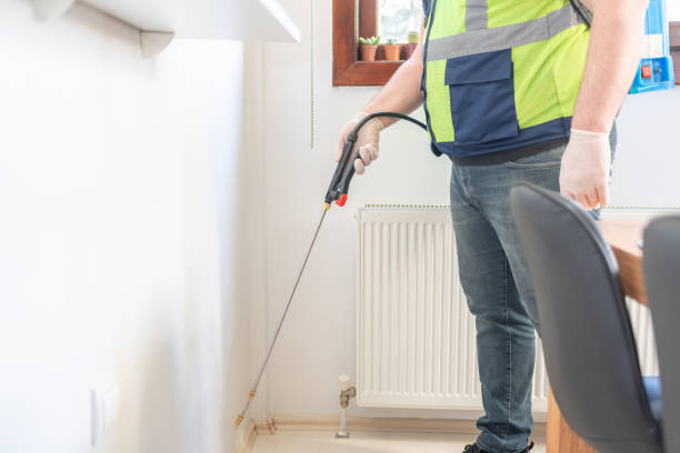 Professional Pest Control in Calimesa, CA
